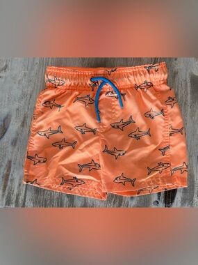NWOT Cat & Jack Toddler Boy Swim Trunks 2T
